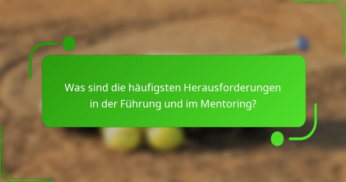 Was sind die häufigsten Herausforderungen in der Führung und im Mentoring?