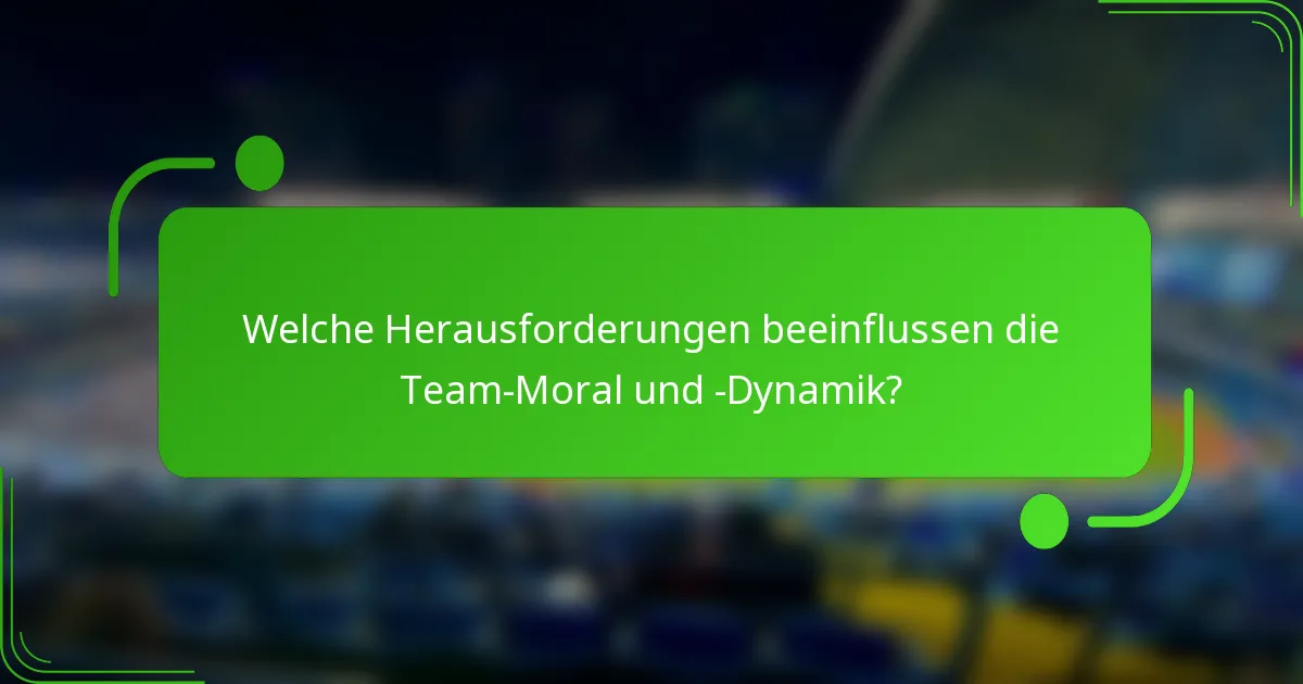 Welche Herausforderungen beeinflussen die Team-Moral und -Dynamik?